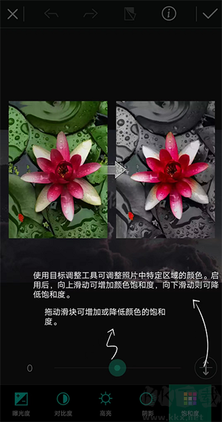 相片大师优质版