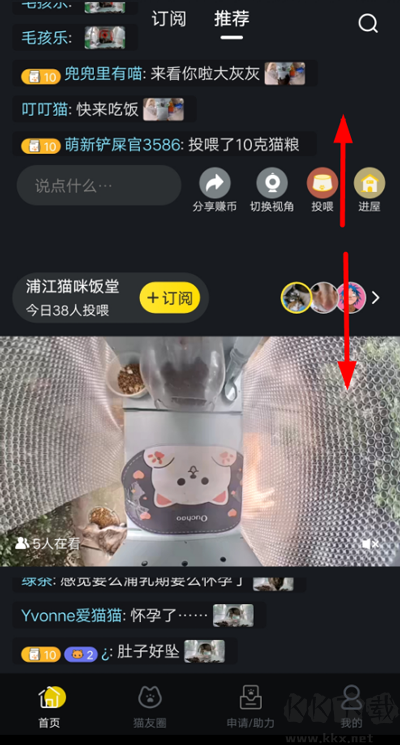 哈啰街猫手机版