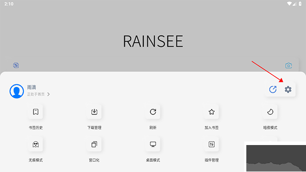 Rains浏览器app