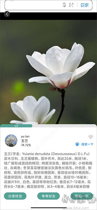 识花君app最新版