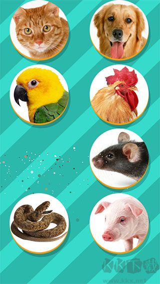 PetTranslator最新版