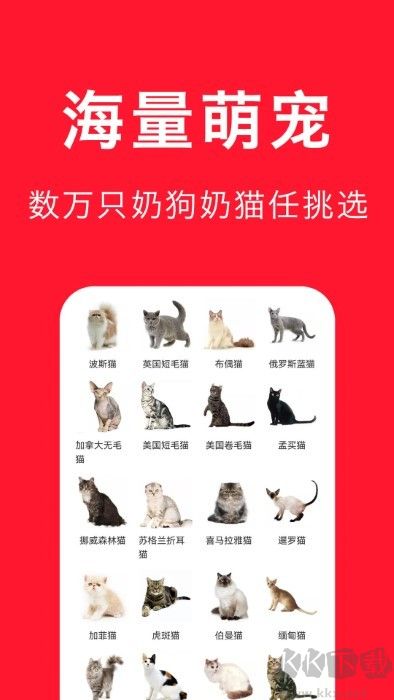 宠物宝app最新版
