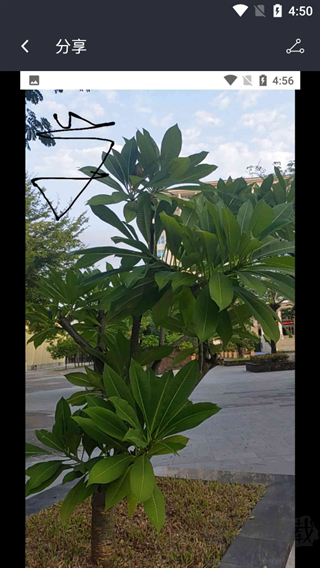 照片水印app
