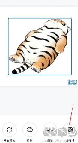 佐糖app