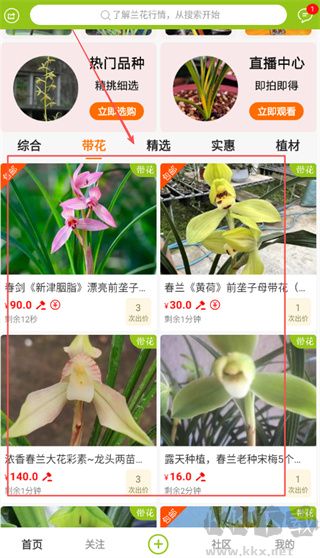 兰花交易网app