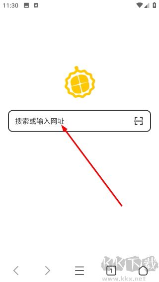 轻榴浏览器插件