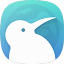 kiwibrowser中文版
