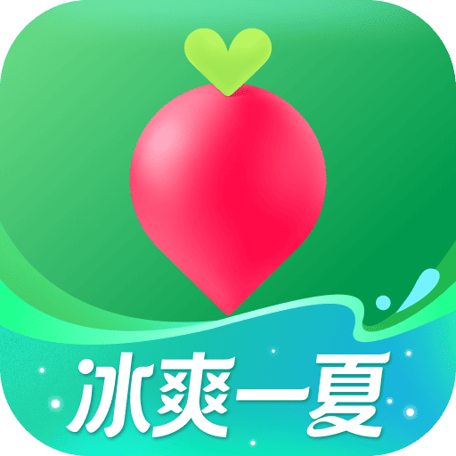 叮咚买菜安卓版