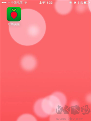 叮咚买菜安卓版