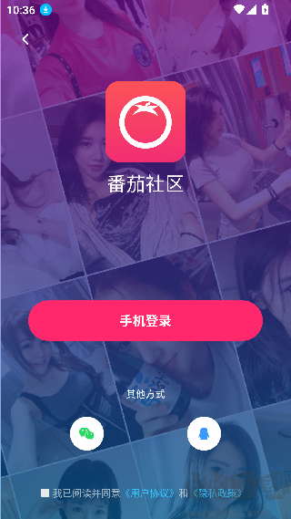 番茄社区软件