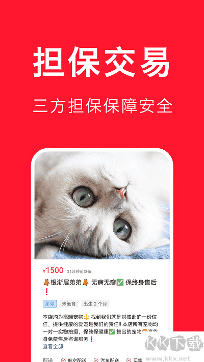 宠物宝