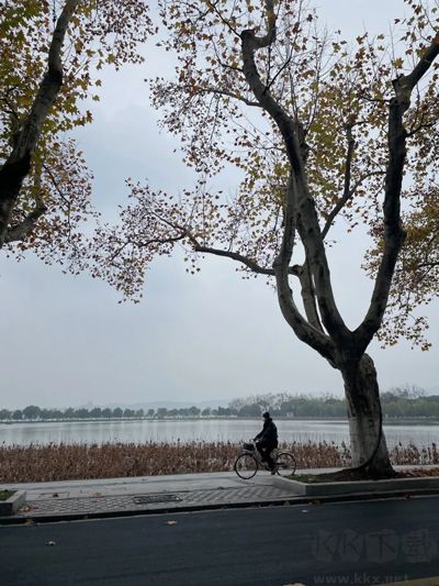 指划修图手机版