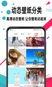 好看手机壁纸免费版