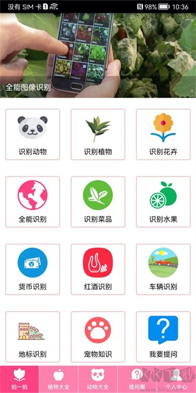 拍照识物
