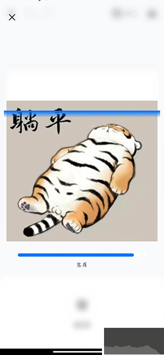 佐糖app手机版