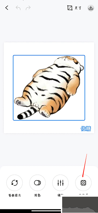 佐糖app手机版