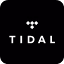 tidal中文版