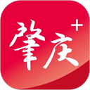 肇庆+官方版