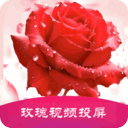 玫瑰视频投屏免费版