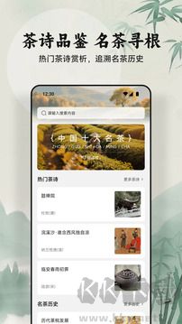 绿茶手机版