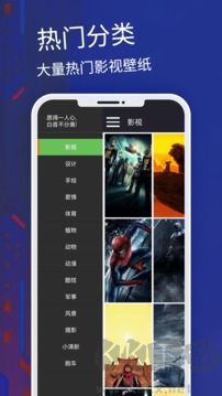 主题app