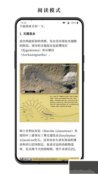 慢读小说最新版