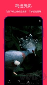 悦活app