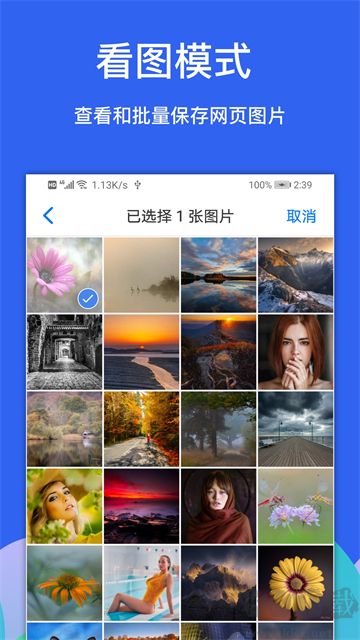 Alook浏览器app官方版