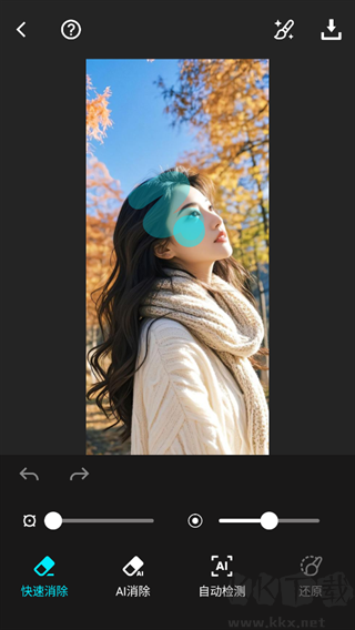 Lumii Photo Editor最新版