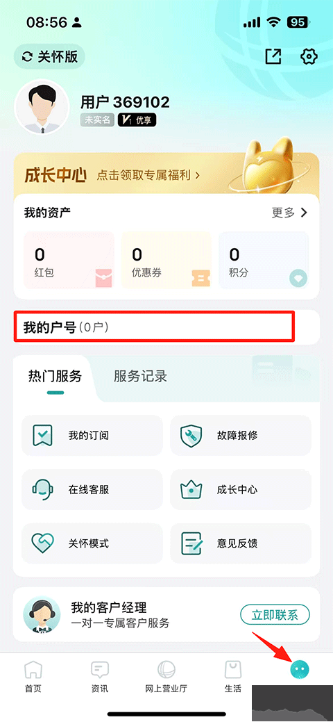 国家电网正版