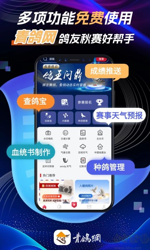 青鸽网最新版