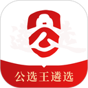 公选王安卓版