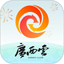 广西云政务民生软件