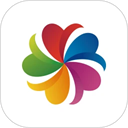 志愿汇app官方版